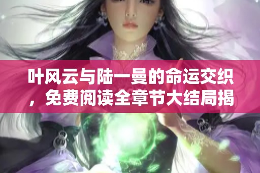 叶风云与陆一曼的命运交织，免费阅读全章节大结局揭秘