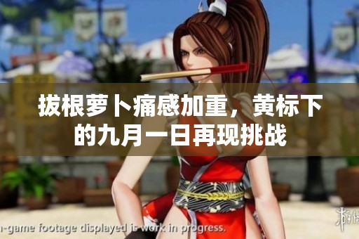 拔根萝卜痛感加重，黄标下的九月一日再现挑战