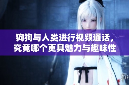 狗狗与人类进行视频通话，究竟哪个更具魅力与趣味性