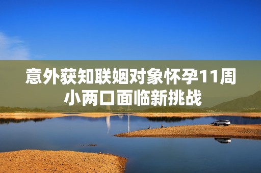 意外获知联姻对象怀孕11周 小两口面临新挑战