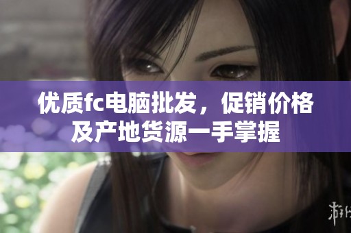 优质fc电脑批发，促销价格及产地货源一手掌握