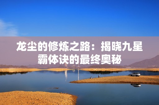 龙尘的修炼之路：揭晓九星霸体诀的最终奥秘