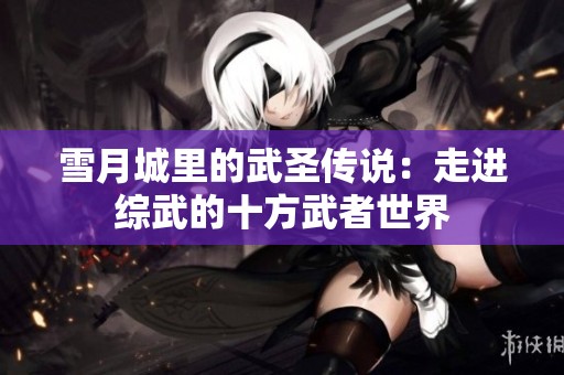 雪月城里的武圣传说：走进综武的十方武者世界