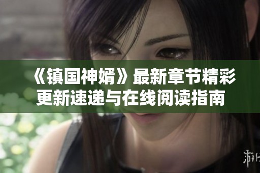 《镇国神婿》最新章节精彩更新速递与在线阅读指南