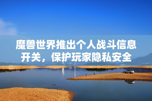 魔兽世界推出个人战斗信息开关，保护玩家隐私安全