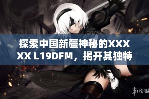探索中国新疆神秘的XXXXX L19DFM，揭开其独特面纱