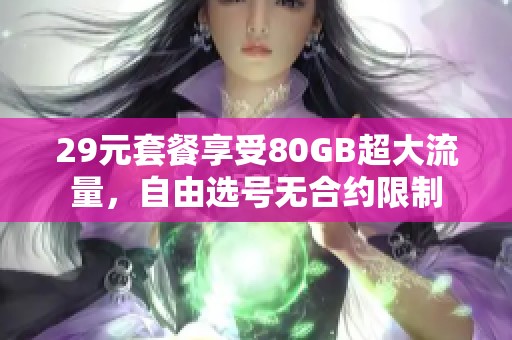 29元套餐享受80GB超大流量，自由选号无合约限制