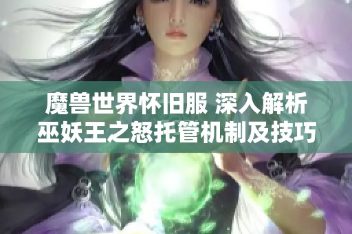 魔兽世界怀旧服 深入解析巫妖王之怒托管机制及技巧