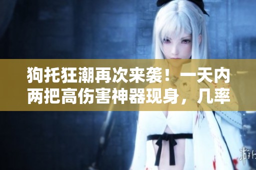 狗托狂潮再次来袭！一天内两把高伤害神器现身，几率究竟有多高？