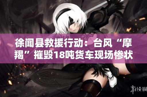 徐闻县救援行动：台风“摩羯”摧毁18吨货车现场惨状