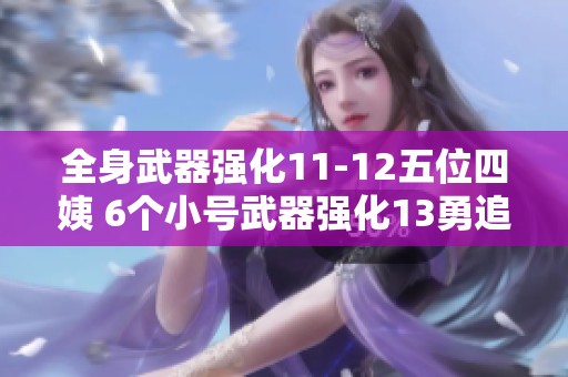 全身武器强化11-12五位四姨 6个小号武器强化13勇追天际