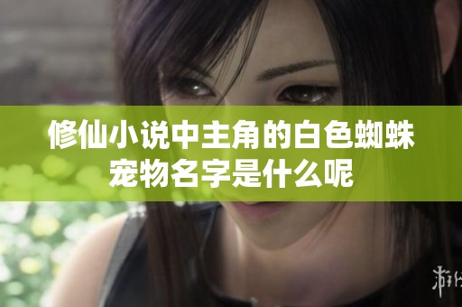 修仙小说中主角的白色蜘蛛宠物名字是什么呢