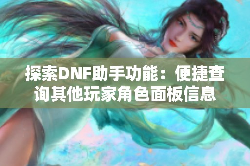 探索DNF助手功能：便捷查询其他玩家角色面板信息