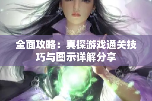 全面攻略：真探游戏通关技巧与图示详解分享