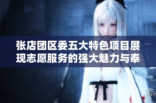 张店团区委五大特色项目展现志愿服务的强大魅力与奉献精神
