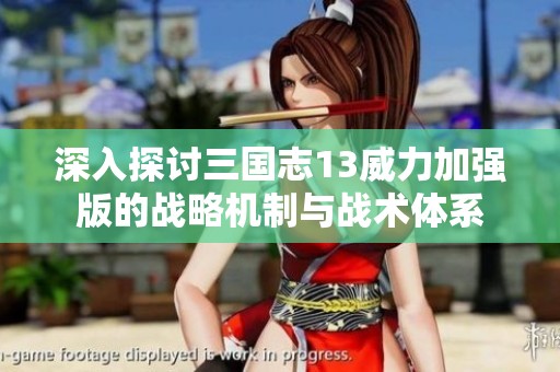 深入探讨三国志13威力加强版的战略机制与战术体系