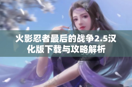 火影忍者最后的战争2.5汉化版下载与攻略解析