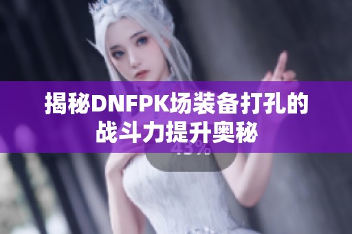 揭秘DNFPK场装备打孔的战斗力提升奥秘