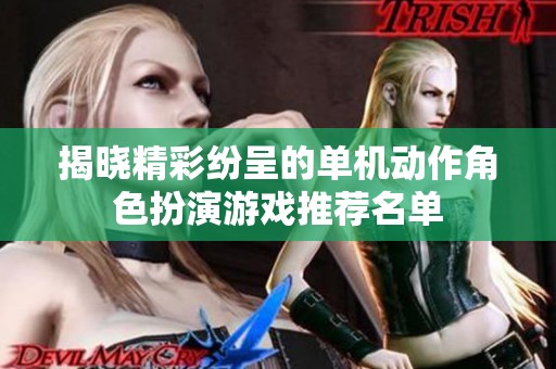 揭晓精彩纷呈的单机动作角色扮演游戏推荐名单