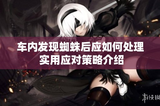 车内发现蜘蛛后应如何处理 实用应对策略介绍