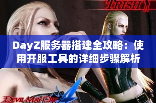 DayZ服务器搭建全攻略：使用开服工具的详细步骤解析