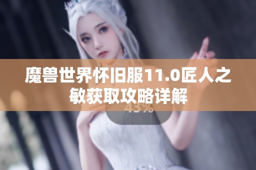 魔兽世界怀旧服11.0匠人之敏获取攻略详解