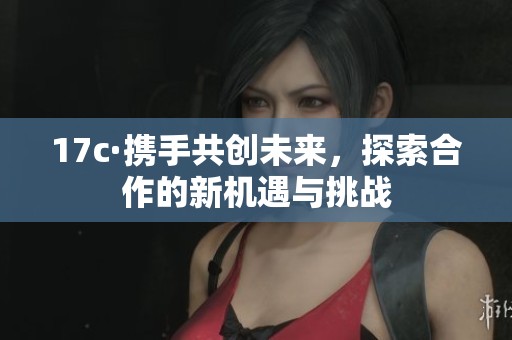 17c·携手共创未来，探索合作的新机遇与挑战