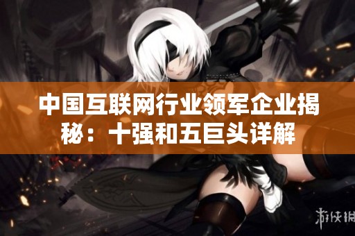 中国互联网行业领军企业揭秘：十强和五巨头详解