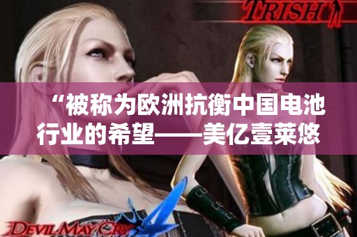 “被称为欧洲抗衡中国电池行业的希望——美亿壹莱悠盛宇的崛起”
