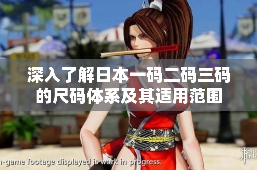 深入了解日本一码二码三码的尺码体系及其适用范围