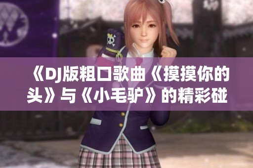 《DJ版粗口歌曲《摸摸你的头》与《小毛驴》的精彩碰撞》