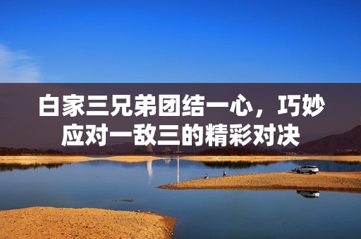 白家三兄弟团结一心，巧妙应对一敌三的精彩对决