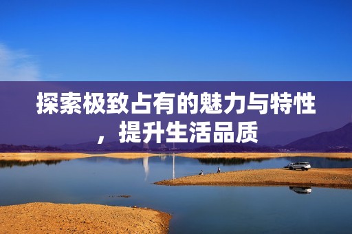 探索极致占有的魅力与特性，提升生活品质