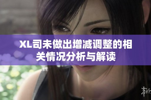XL司未做出增减调整的相关情况分析与解读