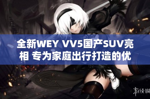 全新WEY VV5国产SUV亮相 专为家庭出行打造的优质之选