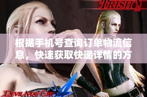 根据手机号查询订单物流信息，快速获取快递详情的方法