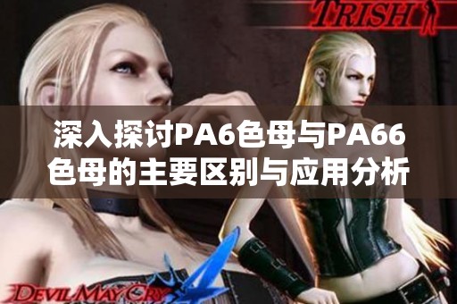 深入探讨PA6色母与PA66色母的主要区别与应用分析