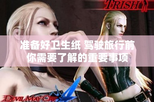 准备好卫生纸 驾驶旅行前你需要了解的重要事项