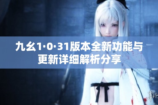 九幺1·0·31版本全新功能与更新详细解析分享