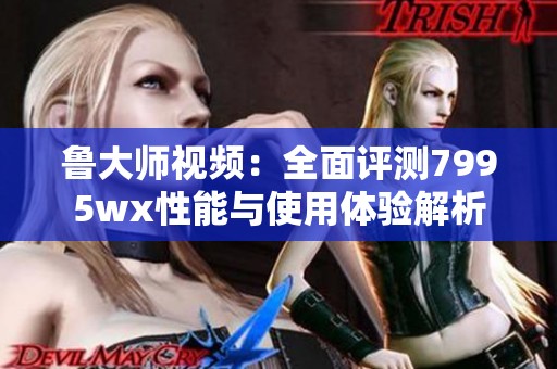 鲁大师视频：全面评测7995wx性能与使用体验解析