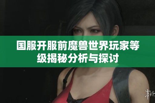 国服开服前魔兽世界玩家等级揭秘分析与探讨