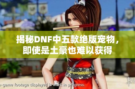 揭秘DNF中五款绝版宠物，即使是土豪也难以获得