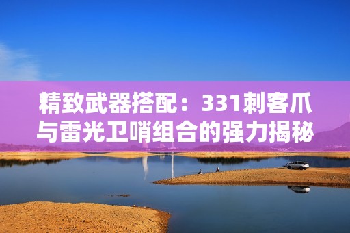 精致武器搭配：331刺客爪与雷光卫哨组合的强力揭秘