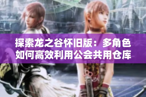 探索龙之谷怀旧版：多角色如何高效利用公会共用仓库