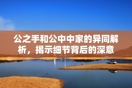 公之手和公中中家的异同解析，揭示细节背后的深意