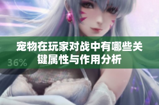 宠物在玩家对战中有哪些关键属性与作用分析
