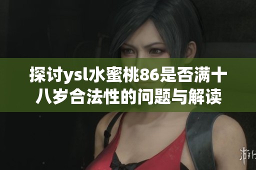 探讨ysl水蜜桃86是否满十八岁合法性的问题与解读