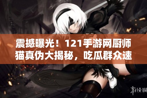 震撼曝光！121手游网厨师猫真伪大揭秘，吃瓜群众速来围观