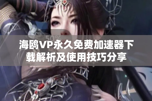 海鸥VP永久免费加速器下载解析及使用技巧分享