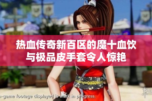热血传奇新百区的魔十血饮与极品皮手套令人惊艳